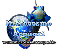 Microcosmo Acquari
